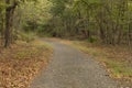 A paved wooded path Royalty Free Stock Photo