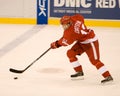 Pavel Datsyuk Controls The Puck