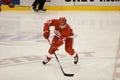 Pavel Datsyuk With The Puck