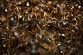 Pavement Ant Hill Royalty Free Stock Photo