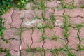 Pavement cement blocks with green grass and weeds. Royalty Free Stock Photo