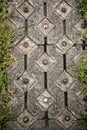 Pavement decorate with glass colourful grass ball and frame by green grass