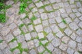 Pavement with grass