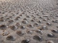 Pavement of river stone and concrete background. Abstract background with round pebbles stones Royalty Free Stock Photo