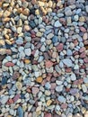 Pavement of river stones. Variation of small beach pebbles. Textured beautiful natural abstract surface for wallpapers and