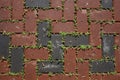 Pavement of sidewalk in park, with brown and black tiles
