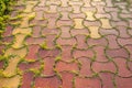 Pavement of sidewalk in park, with brown and yellow tiles with grass in between Royalty Free Stock Photo