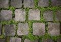Pavement stones with grass