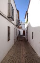 Pavement street of Carmona Royalty Free Stock Photo