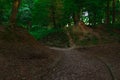 Pavement trail for walking in autumn park of clear weather day September season time in beautiful park with hills Royalty Free Stock Photo