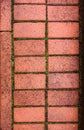 Pavestone with the moss between the bricks Royalty Free Stock Photo