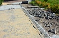 Pavestone paver installation. Royalty Free Stock Photo