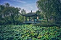 pavilion bridge of Wuhan garden expo