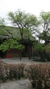 pavilion and garden in a monastery (Shuang lin) closed to pingyao (china)