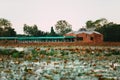 Pavilion on lake or pond or swamp of Bueng See Fai, Phichit, Thailand.