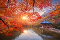 A pavilion in the middle of a small embankment at sunset and colorful autumn leaves at Naejangsan national park, South Korea Royalty Free Stock Photo