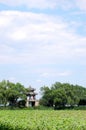 Pavilion, Summer Palace Royalty Free Stock Photo