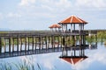 Pavilion in swamp Royalty Free Stock Photo