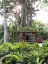 Pavilion in traditional French West Indies style in Botanical Garden. Sheltered seat in the middle of lush tropical vegetation. Royalty Free Stock Photo