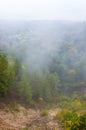 Forest river landscape draped in fog at autumn Royalty Free Stock Photo