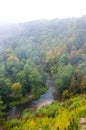 Forest river landscape draped in fog at autumn Royalty Free Stock Photo