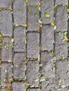 Paving block, conblock, cobblestone, fall, falling leaves, park floor, background and texture