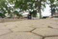 Paving blocks installed in public parks