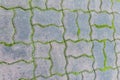 Paving blocks with moss can be used as background Royalty Free Stock Photo