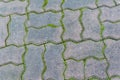 Paving blocks with moss can be used as background Royalty Free Stock Photo
