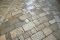 Paving bricks (pavers)