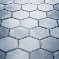 Paving Hexagon brick walkway