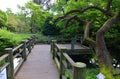 Paving in Japanese Garden Royalty Free Stock Photo