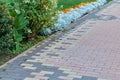 Paving pattern with rectangular shape and brown color.