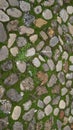 Paving with pebbles, gravel and grass