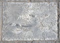 Paving slabs, fossilized shells, texture of fossils Royalty Free Stock Photo