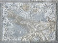 Paving slabs, fossilized shells, texture of fossils Royalty Free Stock Photo