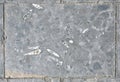 Paving slabs, fossilized shells, texture of fossils Royalty Free Stock Photo