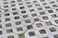 Paving slabs with holes for grass background. Concrete tiles Royalty Free Stock Photo