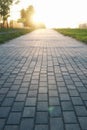 Paving stone path goes away the prospect in sunset Royalty Free Stock Photo