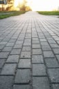 Paving stone path goes away the prospect in sunset Royalty Free Stock Photo