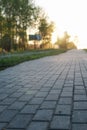 Paving stone path goes away the prospect in sunset Royalty Free Stock Photo