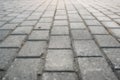 Paving stone path goes away the prospect in sunset Royalty Free Stock Photo