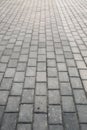 Paving stone path goes away the prospect in sunset Royalty Free Stock Photo