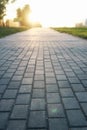 Paving stone path goes away the prospect in sunset Royalty Free Stock Photo