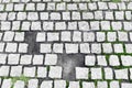 Paving stones broken Royalty Free Stock Photo