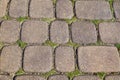 Paving stones with ingrown weeds and moss. An annual problem in front of the house Royalty Free Stock Photo