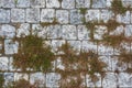 Paving stones and moss