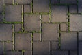 Paving stones overgrown with green grass