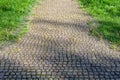 Paving stones. Paved road. Cobblestone surface