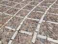 Paving stones with a radial pattern.